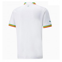 Camisa de Futebol Senegal Equipamento Principal Mundo 2022 Manga Curta